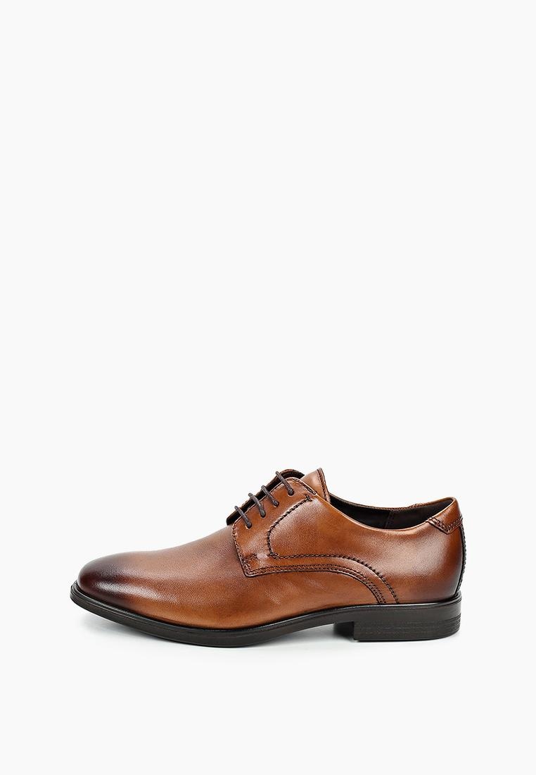 Ламода туфли мужские. Туфли Thomas MUNZ мужские коричневые. Туфли мужские кожаные классические саламандер. Саламандер ботинки коричневые.
