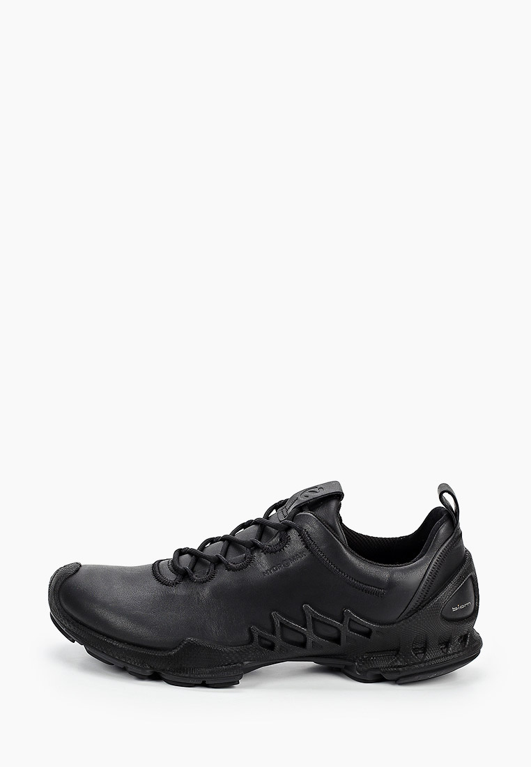 ecco aex