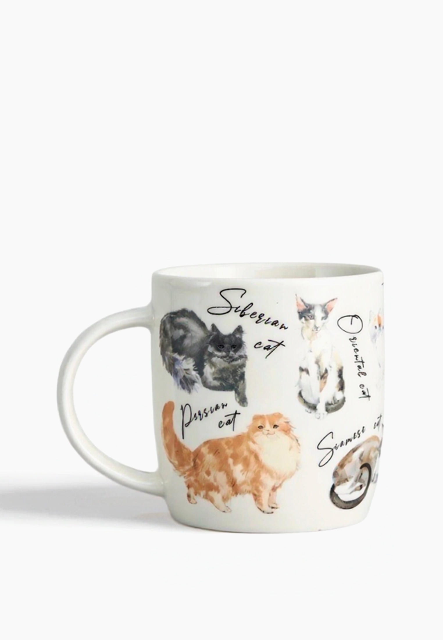 CozyHomeКружкаCatclub