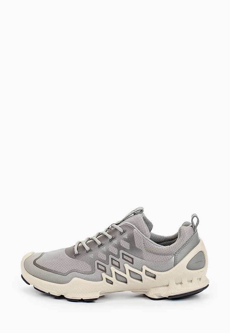 ecco aex