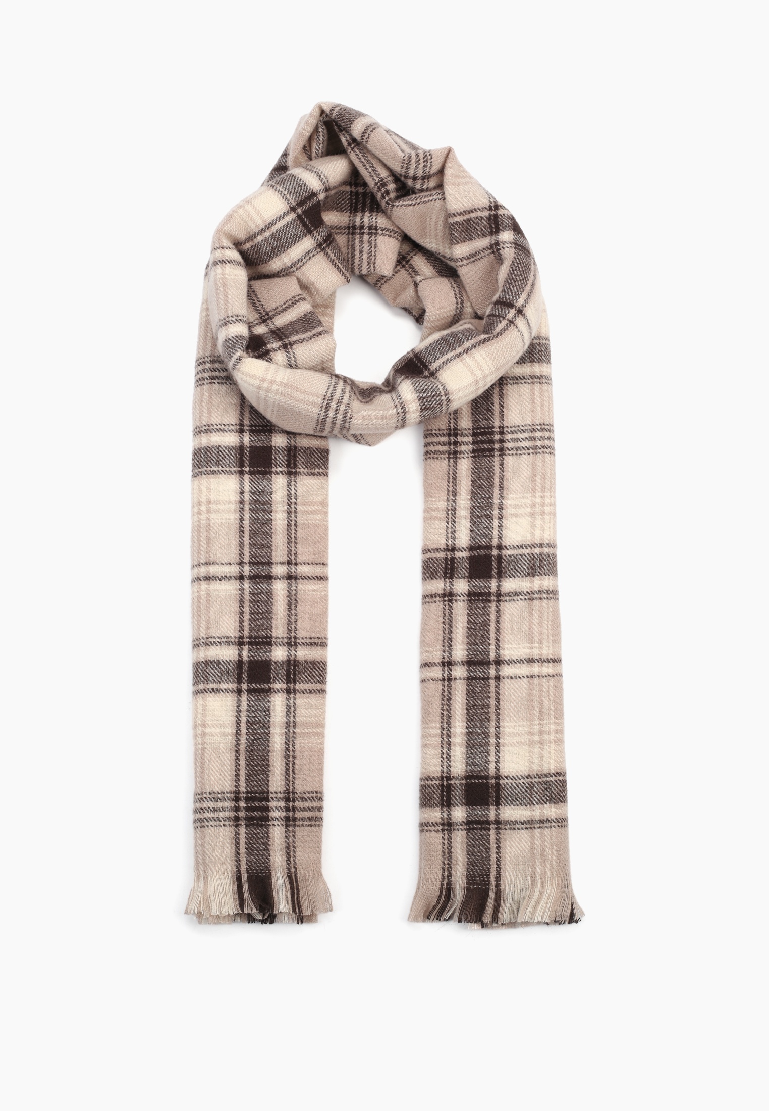 TerranovaПалантин