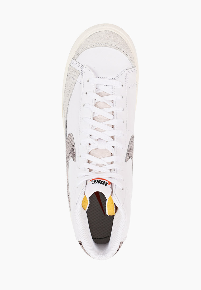 nike blazer we reptile