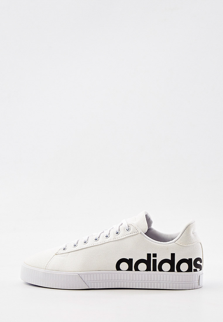 Кеды adidas DAILY 3.0 LTS, цвет: белый, RTLAAI853701 — купить в  интернет-магазине Lamoda