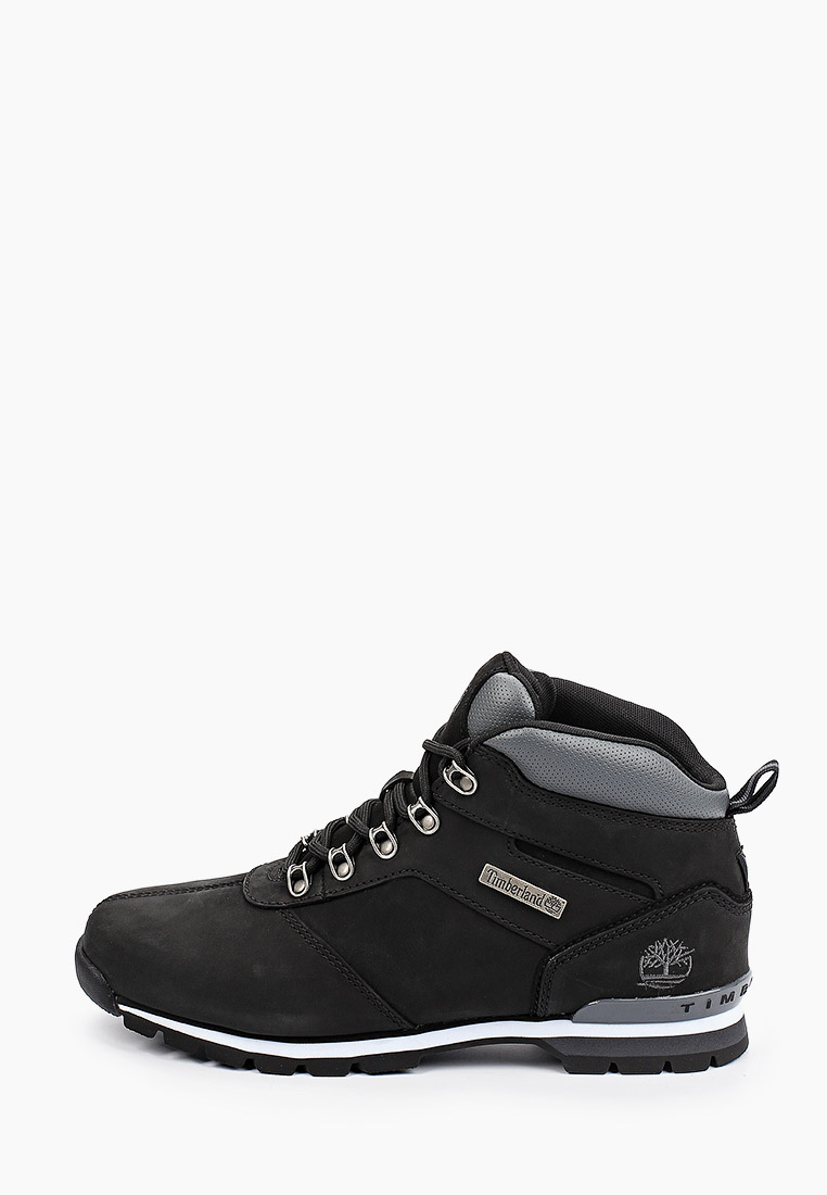 Timberland motion. Timberland motion
