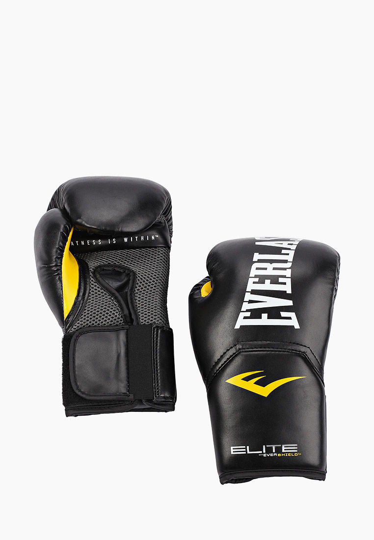 Everlast Prospect