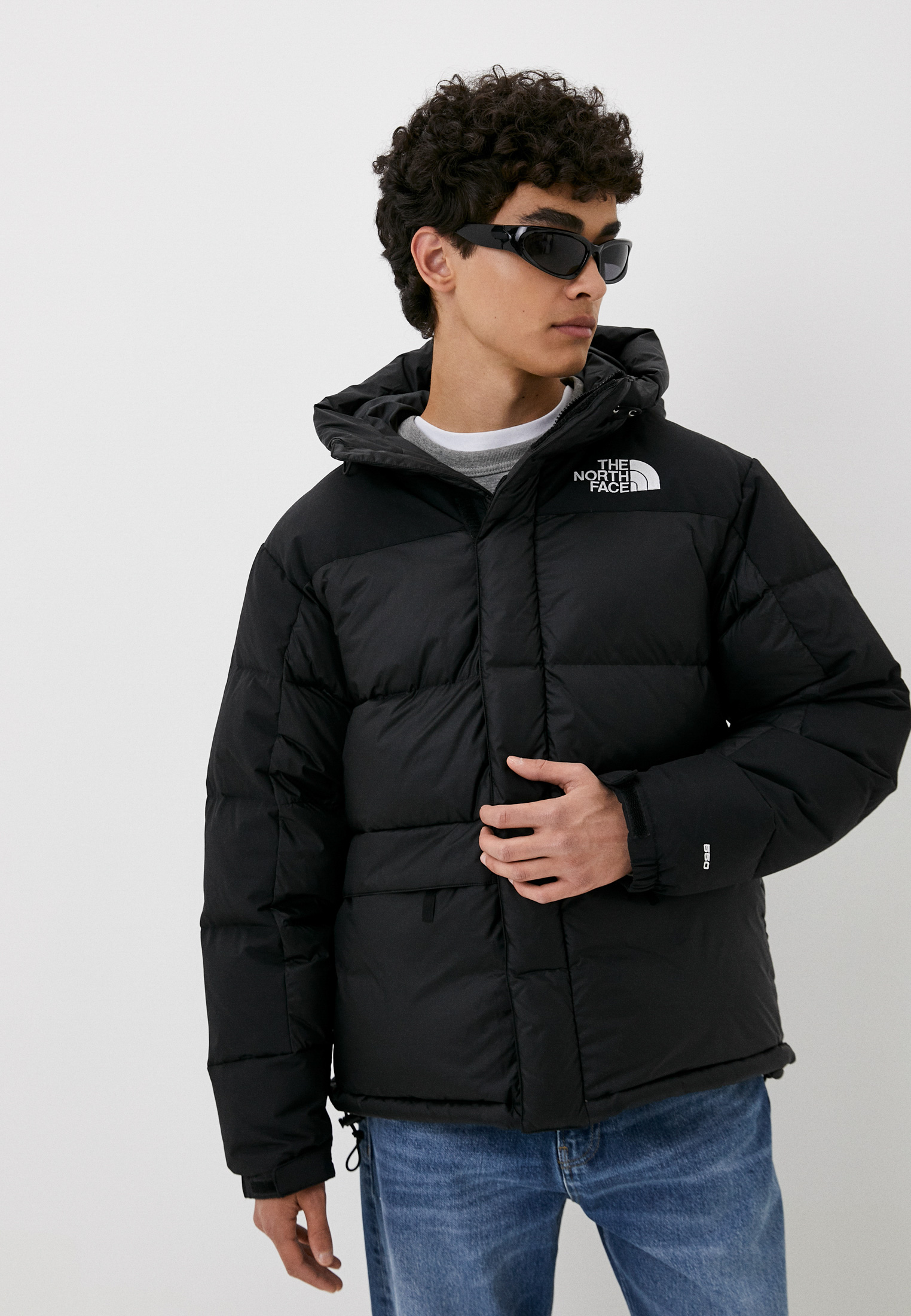 The North Face M HMLYN DOWN PARKA