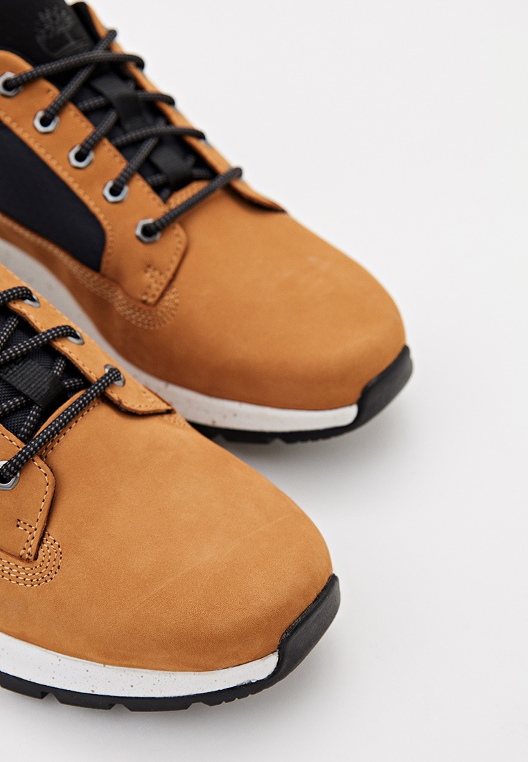 Timberland motion