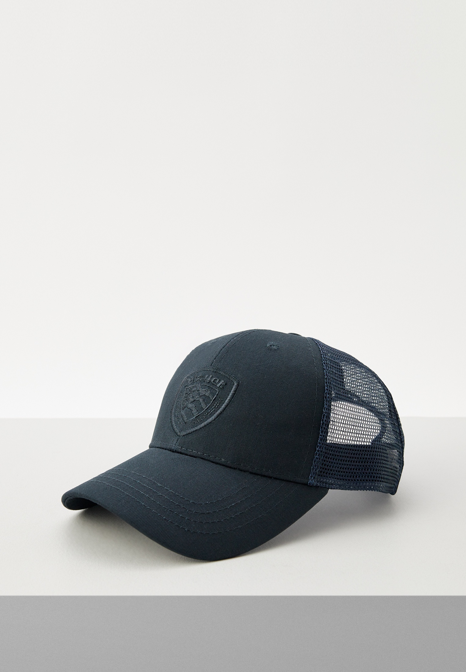 Бейсболка Blauer USA, цвет: синий, RTLADK059501 — купить в интернет ...